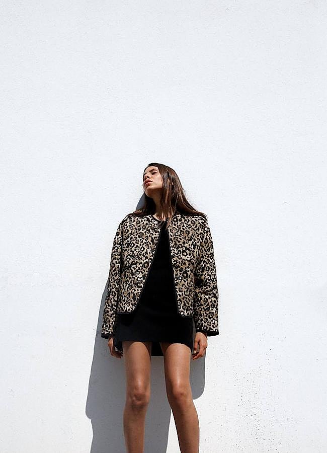 Imagen - Cazadora animal print acolchada