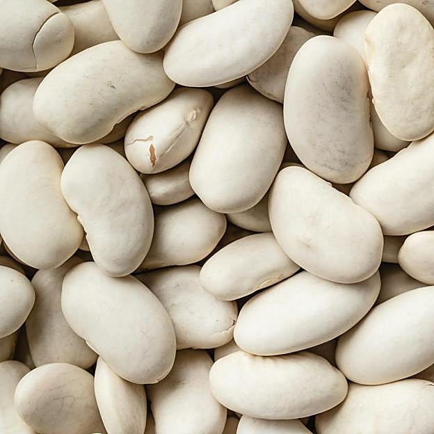 Los beneficios de las alubias están avalados por Harvard. 