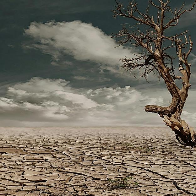 Según Baba Vanga, una terrible sequía azotará el mundo. 