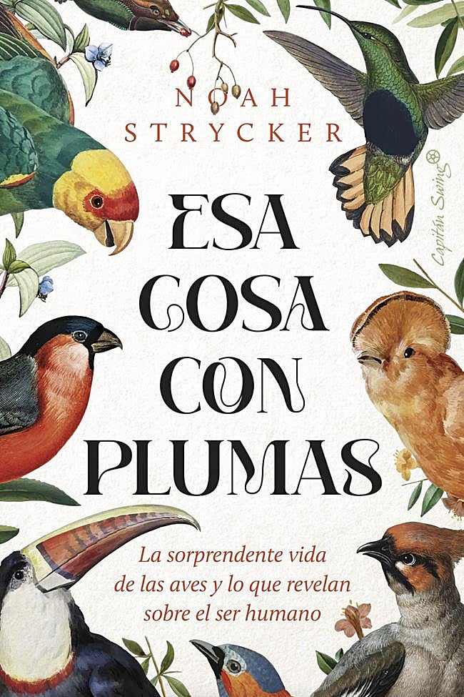 Portada de Esa cosa con plumas, de Noah Strycker.