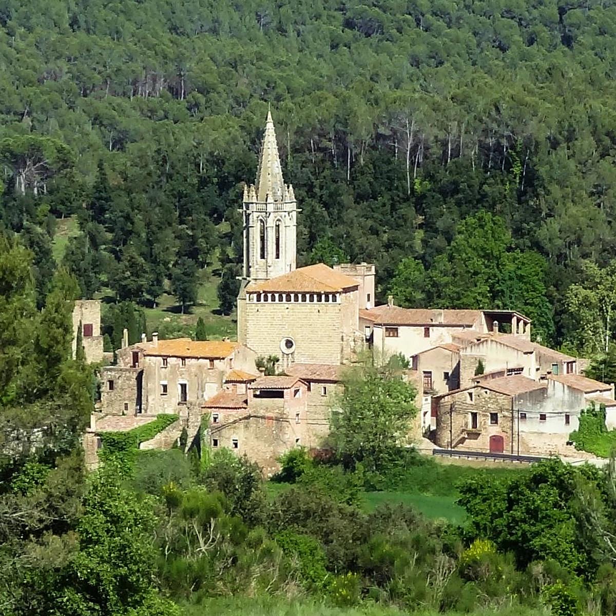Sant Martí Vell, Girona