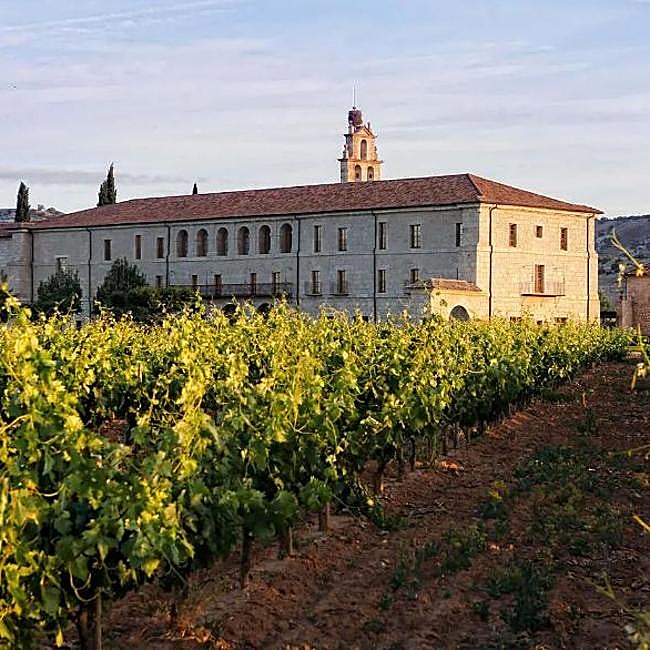 Abadía Retuerta y sus viñedos, valle del Duero.