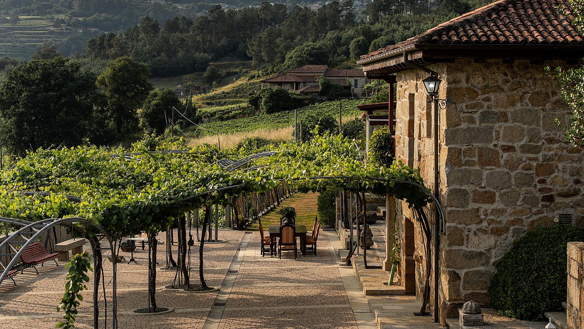 Enoturismo en Galicia: el destino que tienes que conocer si eres amante de los buenos vinos