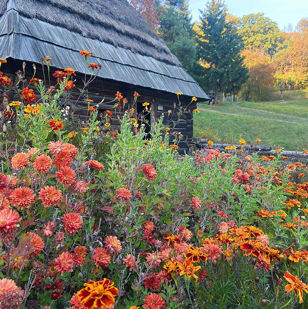 Las mejores flores para plantar al final del verano y que el jardín esté precioso todo el otoño