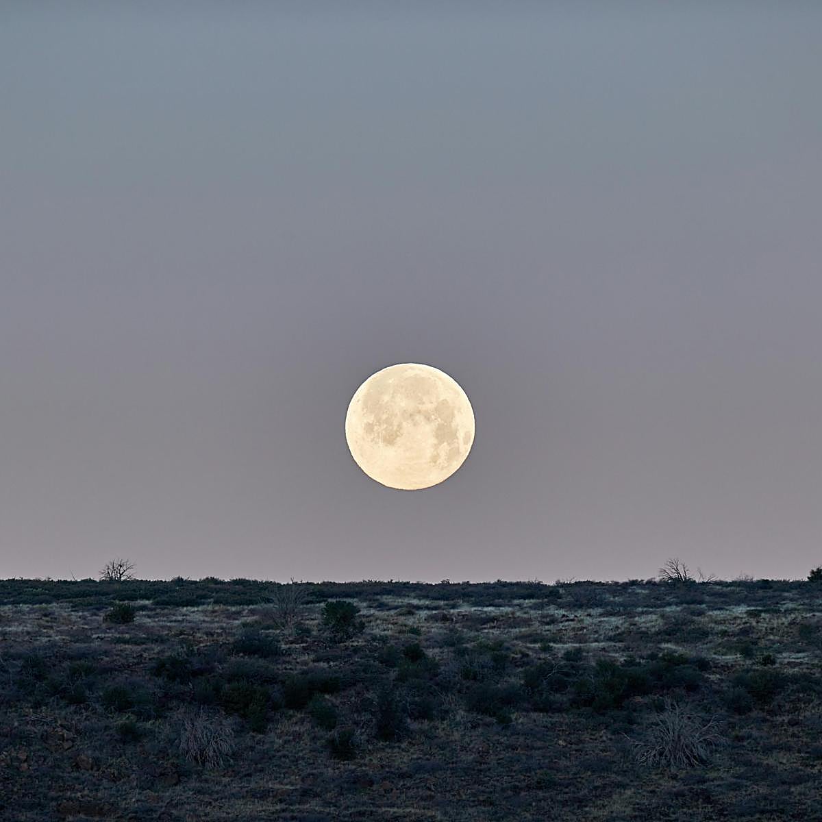 La Luna Llena en Acuario del 7 de septiembre.