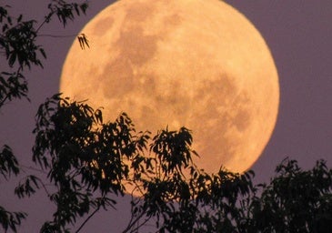 Rituales para el eclipse total de Luna del 7 de septiembre: cómo te transformará, según tu signo del zodiaco