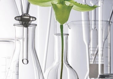 El grupo L'Oréal está diseñando los productos de belleza del futuro.