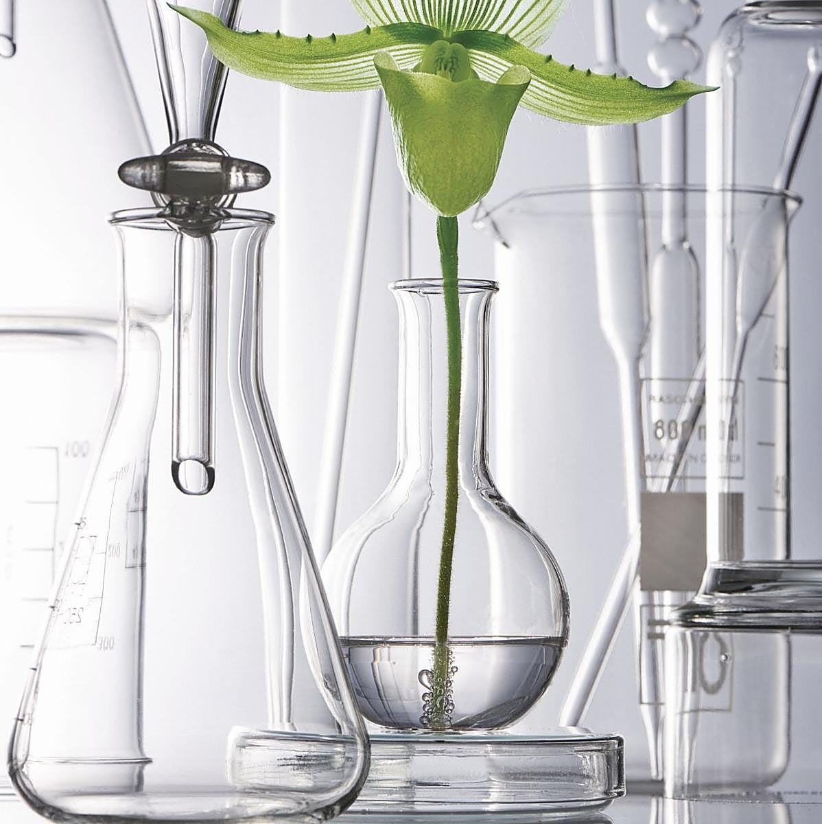 El grupo L'Oréal está diseñando los productos de belleza del futuro.