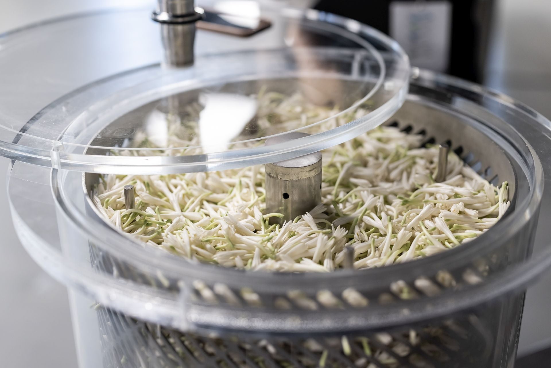 La tecnología de extracción de fragancias Osmobloom.