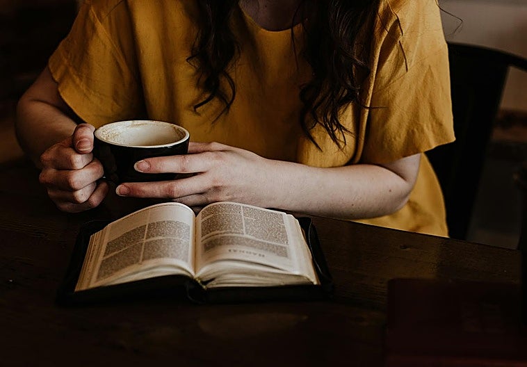 Descubre todas las novedades literarias del cozy mistery.