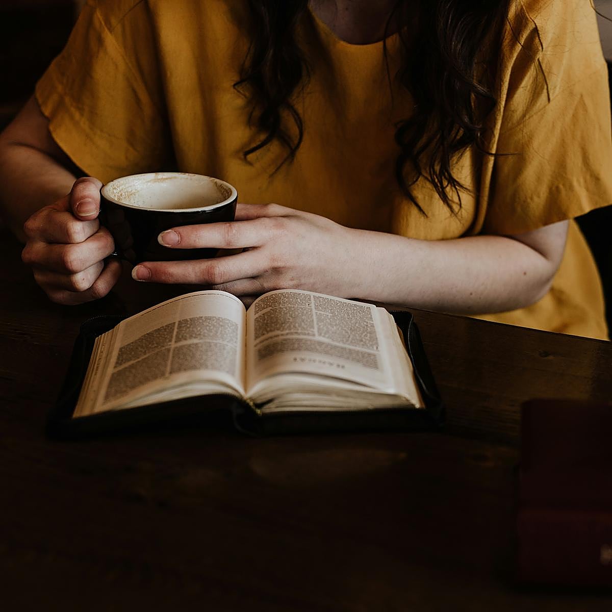 Descubre todas las novedades literarias del cozy mistery.