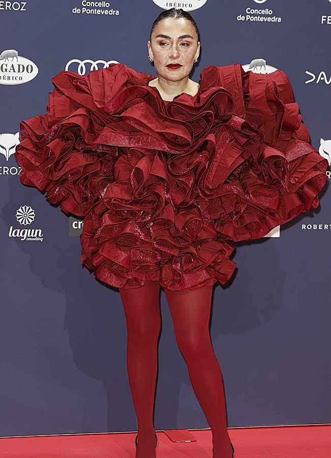 Imagen - Los looks de los Premios Feroz 2025 (GTRES)