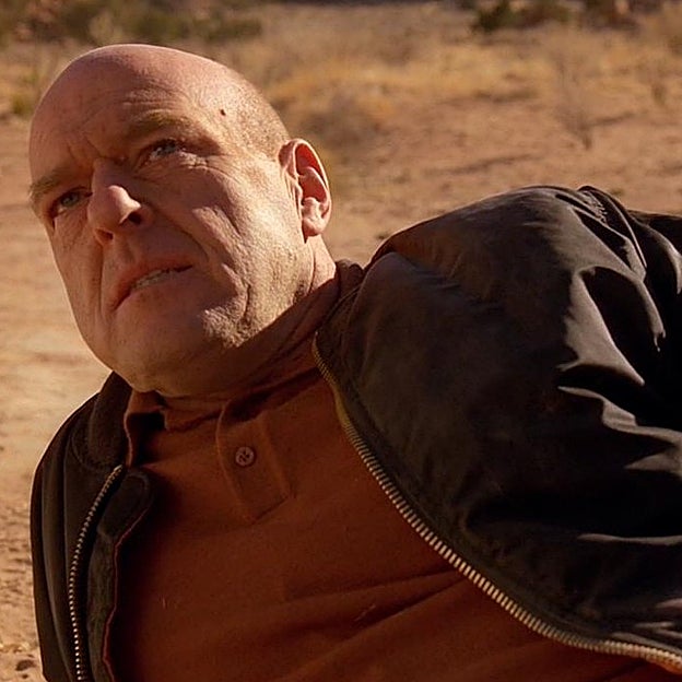 Los últimos momentos de Hank antes de morir asesinado frente a Walter.