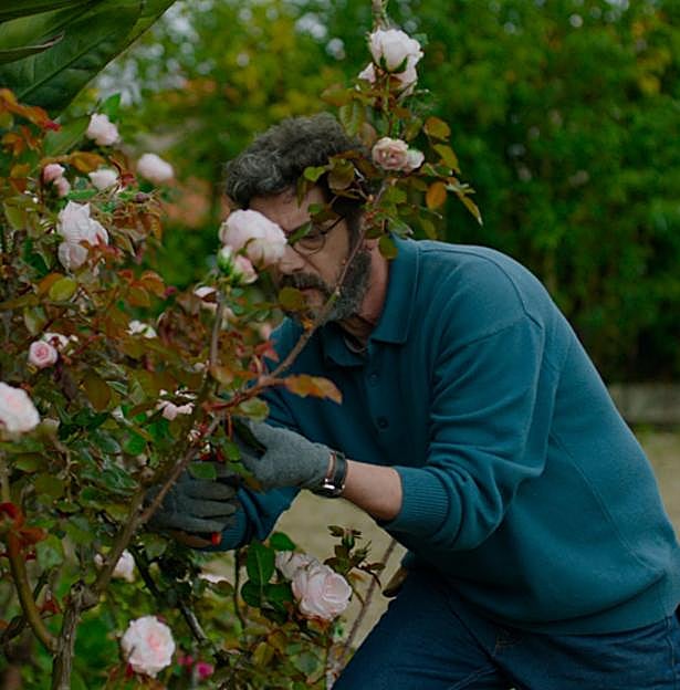 Una quinta portuguesa llega este fin de semana a los cines como un éxito de crítica. 