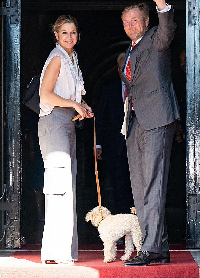 Imagen - Máxima de Holanda con pantalones cargo en gris. Foto. Gtres.