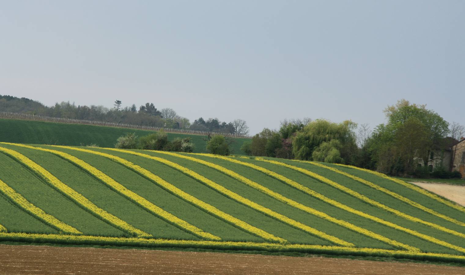 Paisaje del Gers.