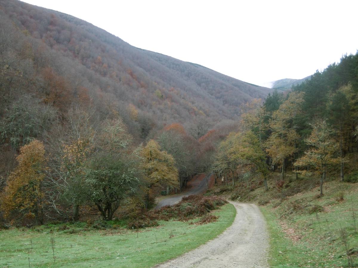 Inicio del recorrido por el arroyo.. 