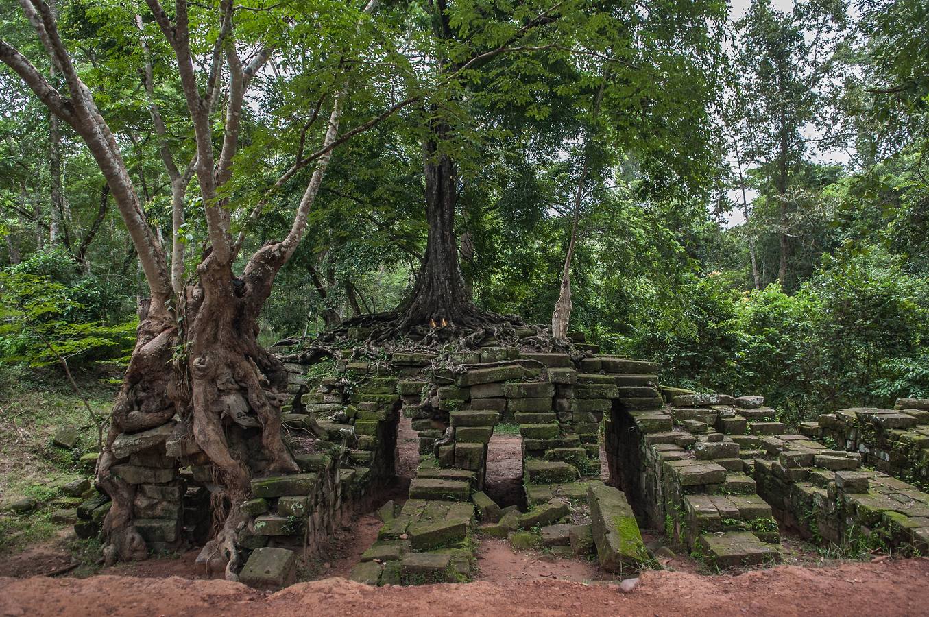 Un reino de pesadilla