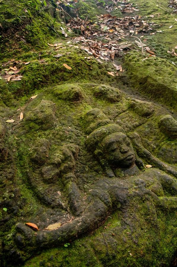 Un reino de pesadilla