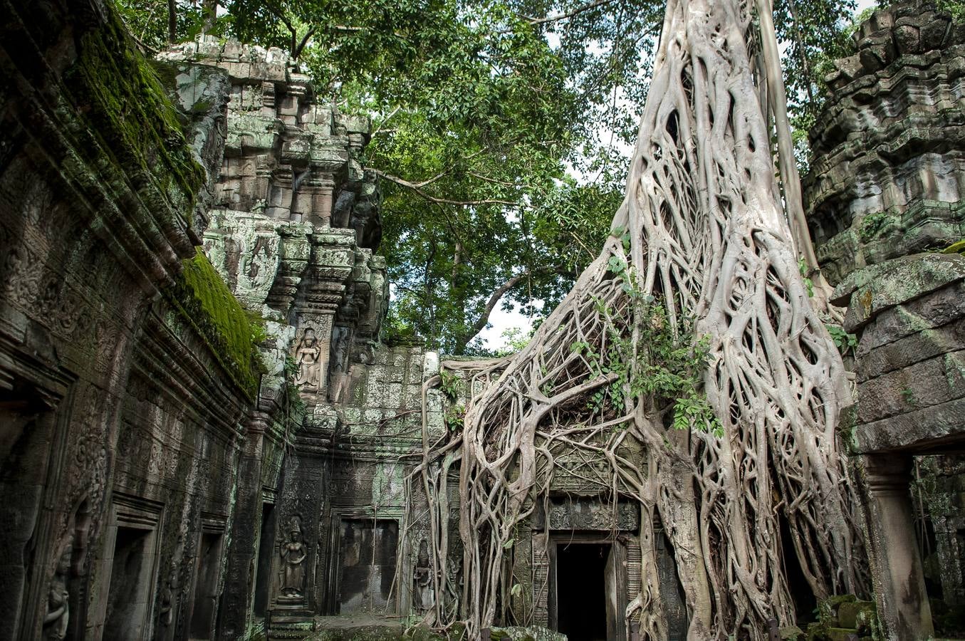 Un reino de pesadilla