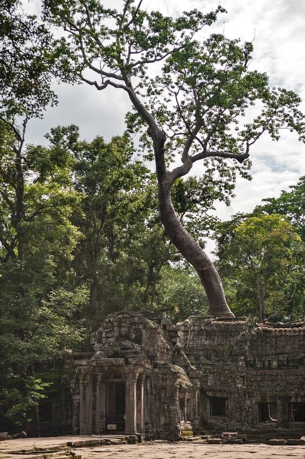 Un reino de pesadilla