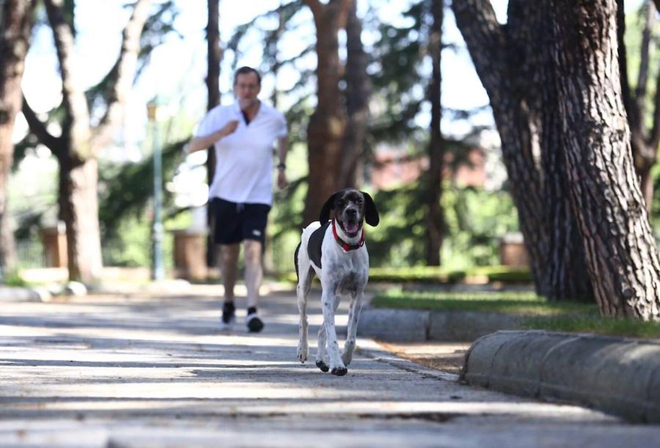 Mariano Rajoy ha realizado deporte junto a su perro y el resto de la tarde lo dedicará a estar con la familia.