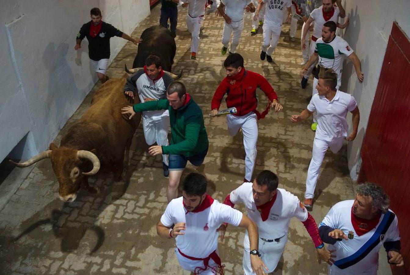 Los toros de Núñez del Cuvillo corren un encierro rápido y emocionante