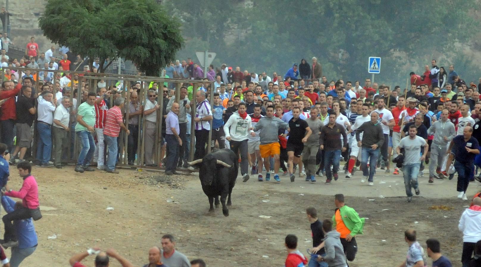 Tordesillas celebra su primera fiesta sin Toro de la Vega