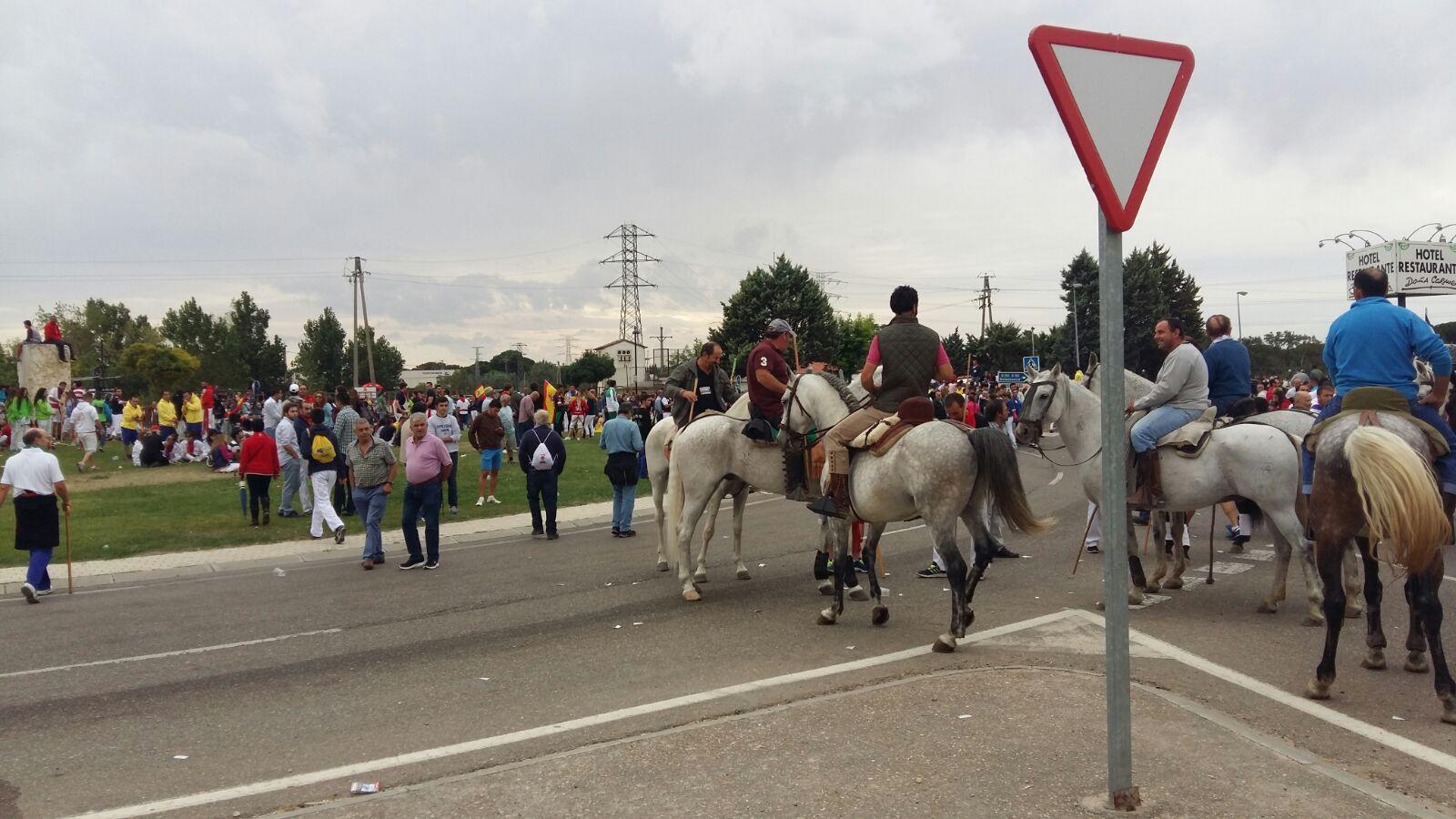 Tordesillas celebra su primera fiesta sin Toro de la Vega