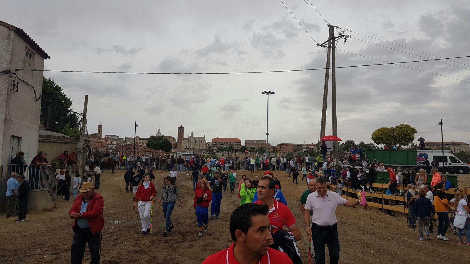 Tordesillas celebra su primera fiesta sin Toro de la Vega