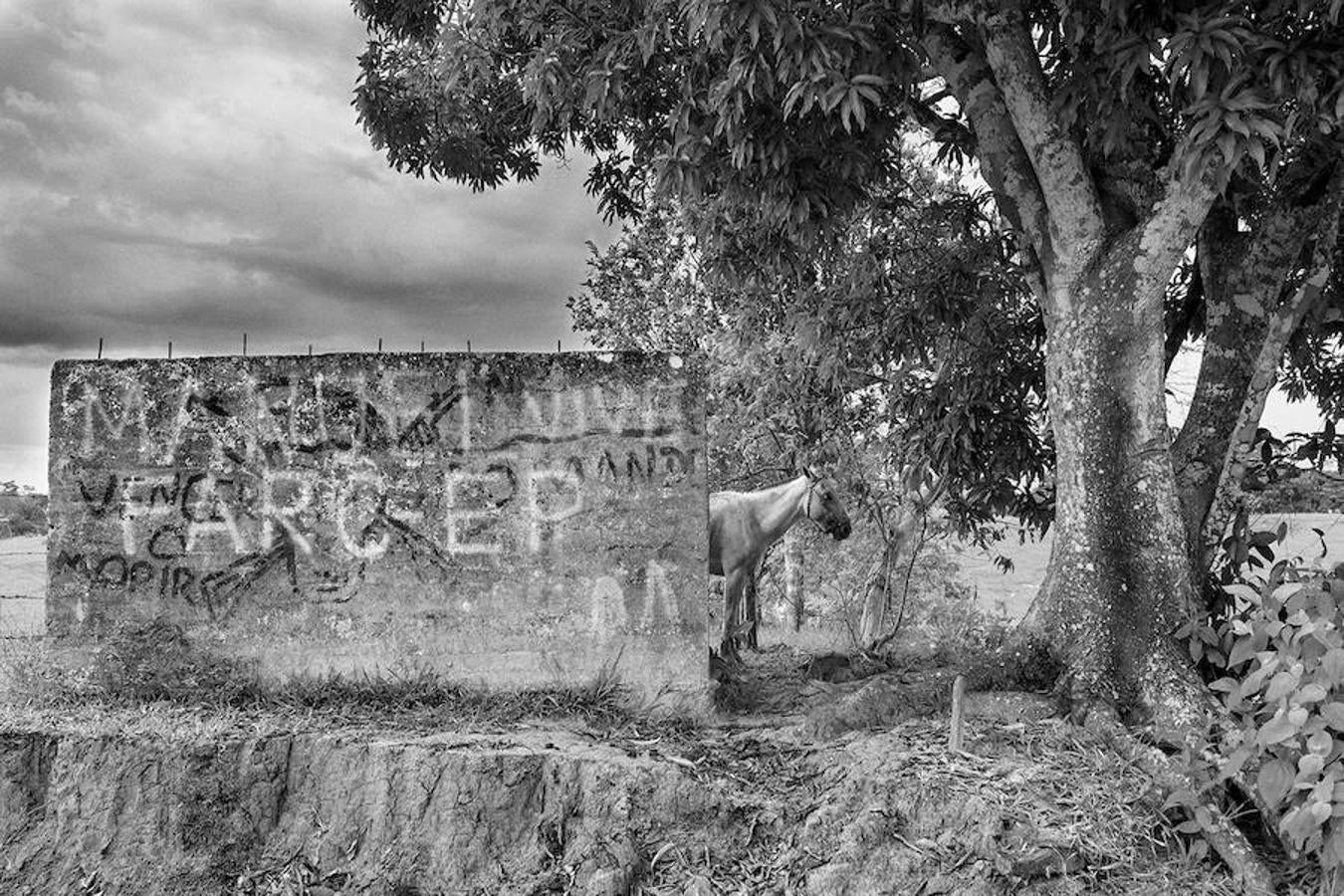 Radiografía del conflicto en Colombia