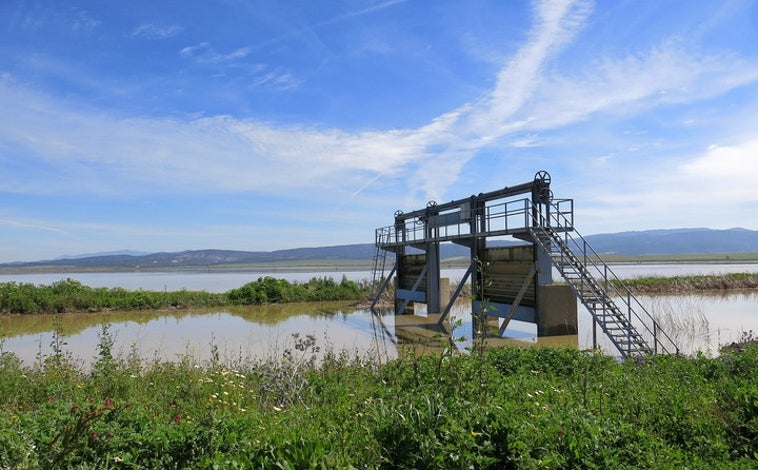 Imagen principal - La laguna de la Janda en su última inundación por lluvias en 2013.