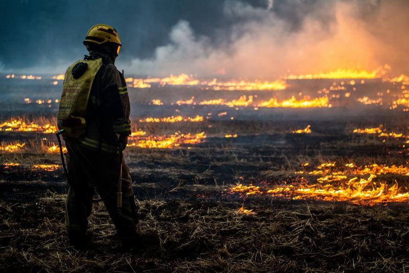 Un bombero observa cómo un frente del incendio ha arrasado un terreno de La Araucaria