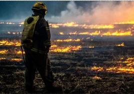 Un bombero observa cómo un frente del incendio ha arrasado un terreno de La Araucaria