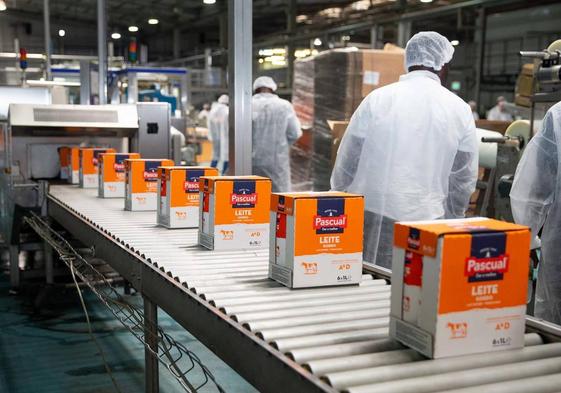 Complejo industrial desarrollado junto a Refriango para la producción de leche UHT y leche en polvo en Angola.