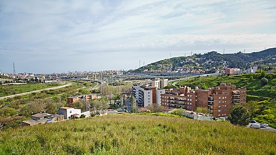 Las hortalizas catalanas que plantan cara al hormigón en Barcelona