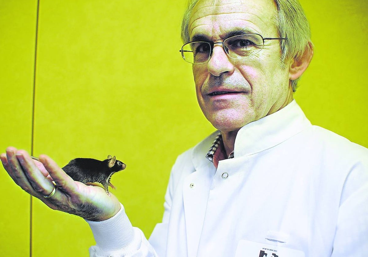 El profesor Carlos Matute, director científico del 'Achucarro Basque Center for Neuroscience'.Ignacio pérez