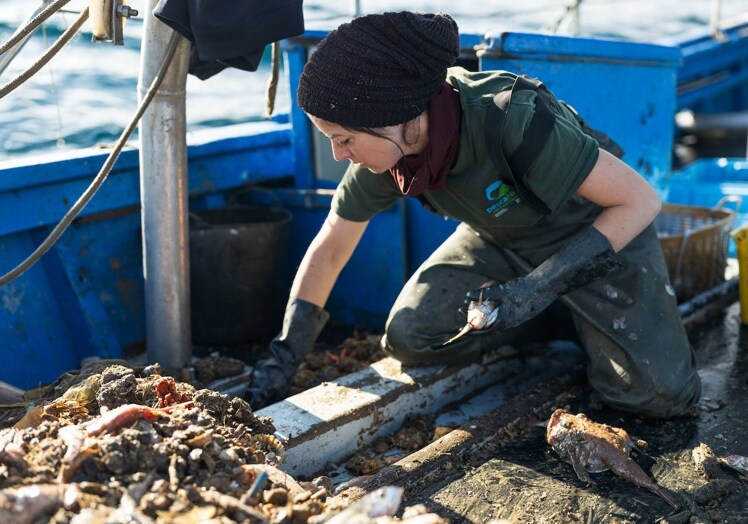 La mayoría de la basura está en el fondo del mar y por eso los pescadores de arrastre tienen una gran importancia. En la foto, Miriam Artacho separa el pescado de los residuos.