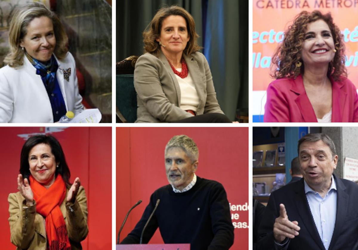 De arriba a abajo, y de izquierda a derecha: Nadia Calviño, Teresa Ribera, María Jesús Montero, Margarita Robles, Fernando Grande-Marlaska y Luis Planas.