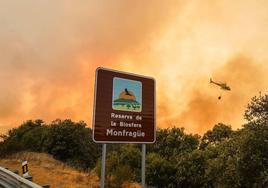 399 hectáreas ardieron el pasado verano en el parque en un único incendio.