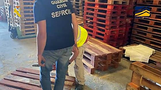 Cien detenidos en la mayor incautación de palés de madera contaminados