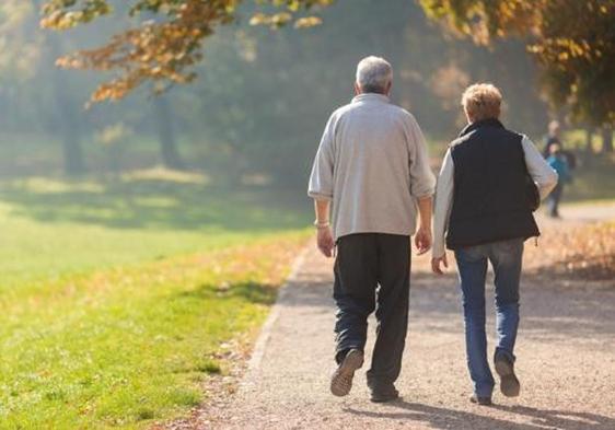 Una pareja camina por un parque.