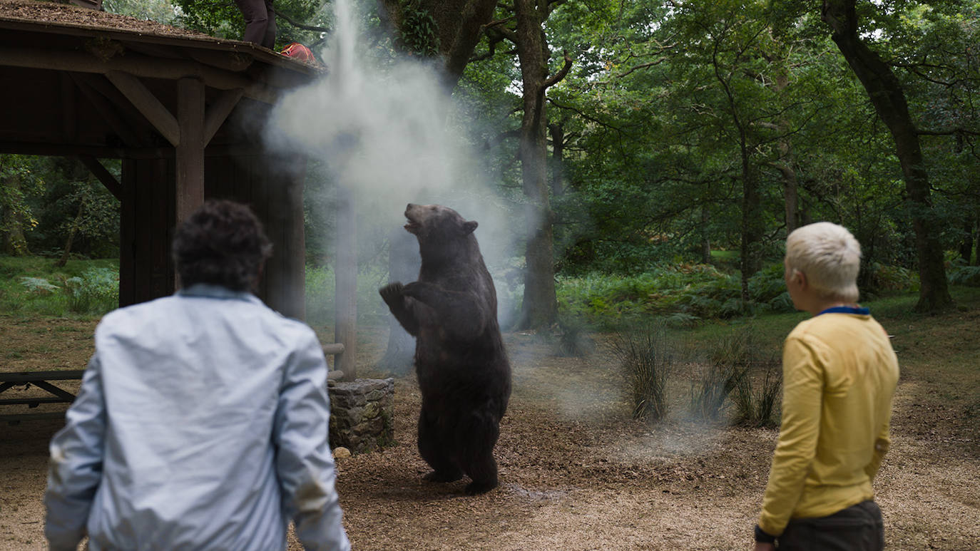 Una imagen de 'Oso vicioso'.