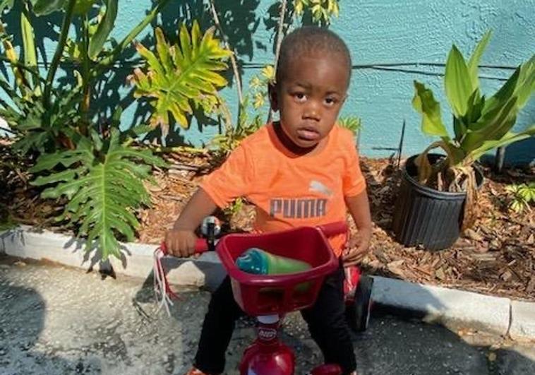Hallan el cuerpo de un niño de dos años en las fauces de un caimán en Florida