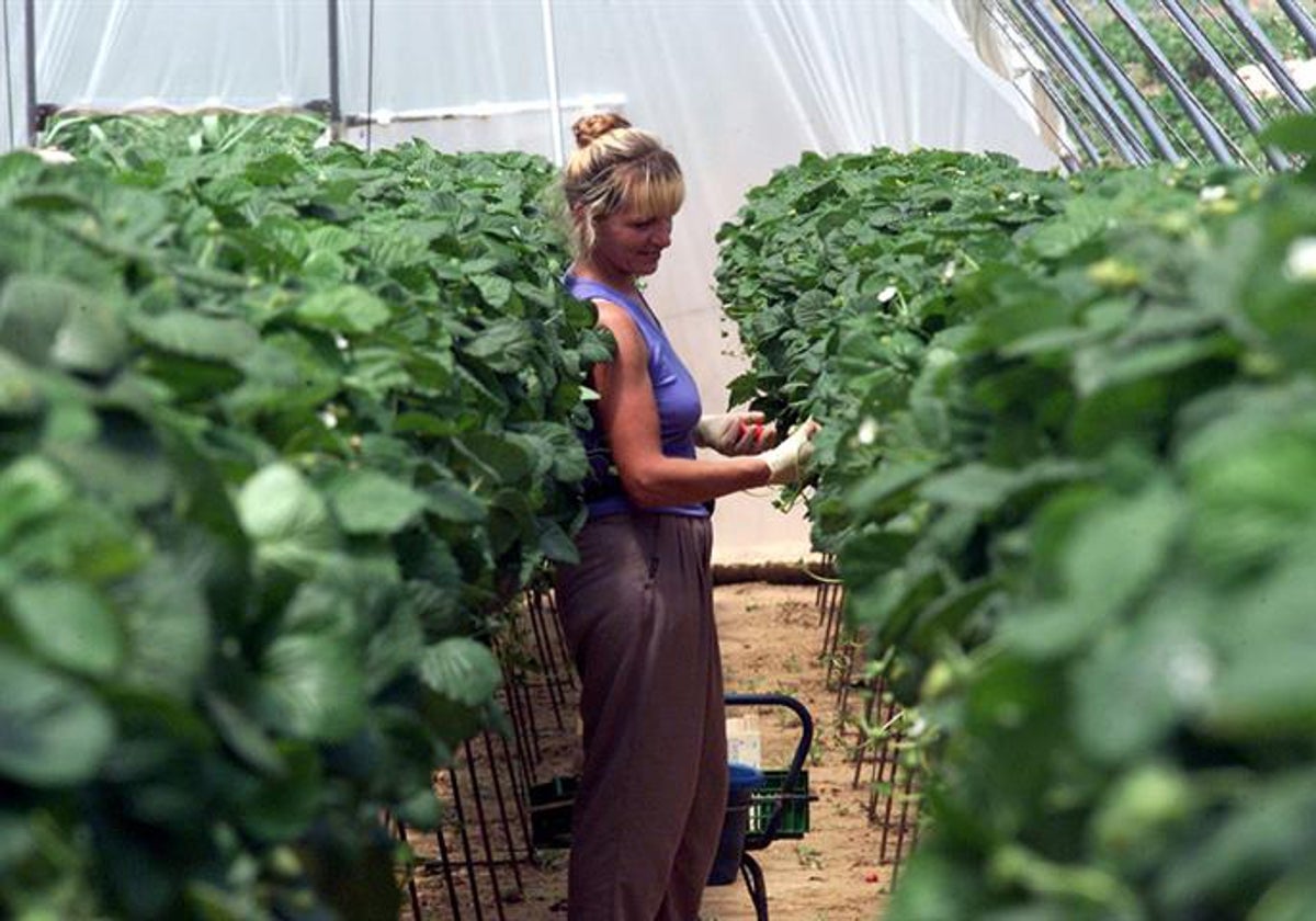 Mujer agricultora.