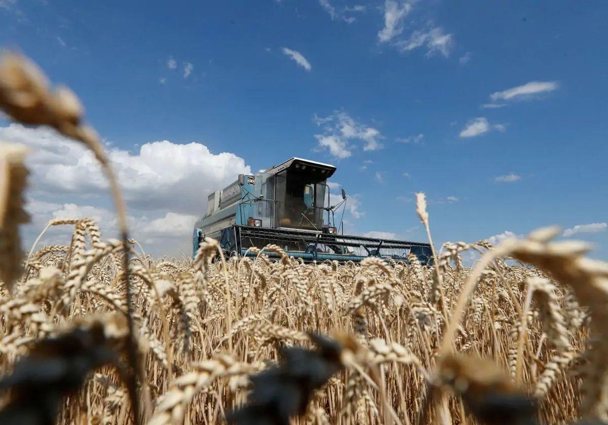 Los agricultores polacos y húngaros protestan por la competencia de cereales ucranianos mucho mas baratos.