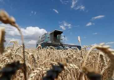 La UE considera inaceptable la prohibición de Polonia y Hungría de importar grano de Ucrania