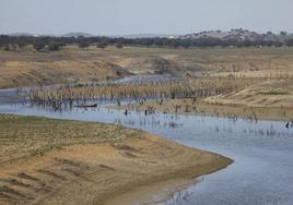 Escasez de agua en el embalse de Sierra Boyera en Bélmez (Córdoba).