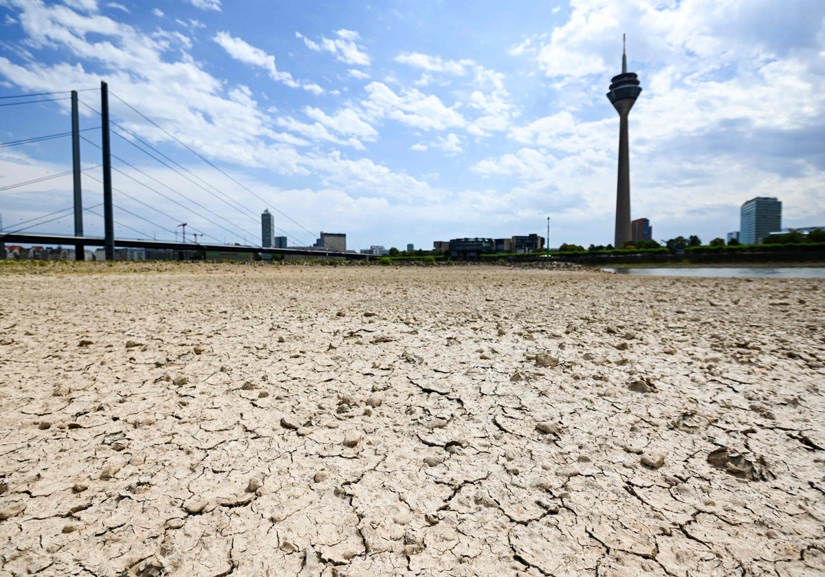 Cauce del río Rin (Alemania) el pasado verano.