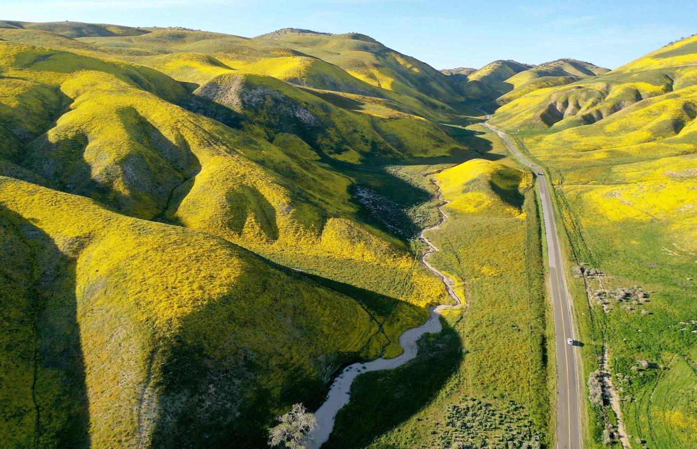 La &#039;super floración&#039; de California, en imágenes